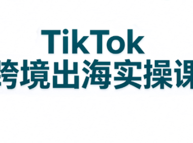 彭老师·TikTok跨境出海实操课