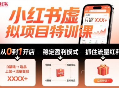 小红书虚拟项目特训课,帮你从0到1打造稳定盈利的店铺,抓住流量红利(更新9月)