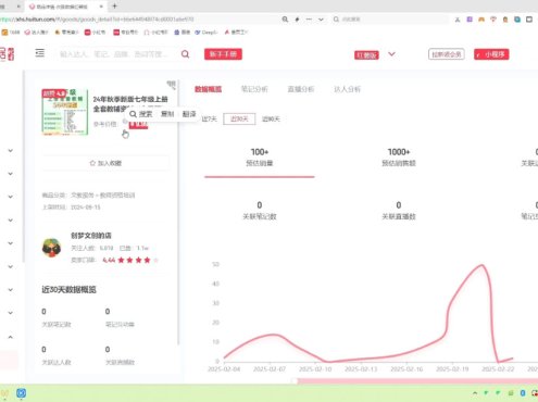 2025小红书虚拟电商实战课