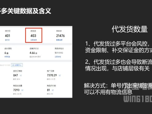 纪主任·拼多多年费会员(更新6月)