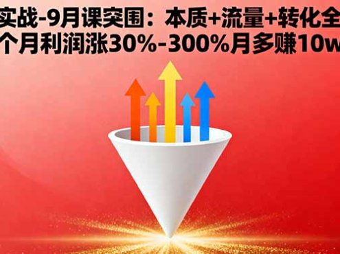营销实战-9月突围课:本质+流量+转化全链路 3个月利润涨30%-300%月多赚10w+